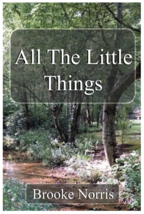 All the Little Things snapshot